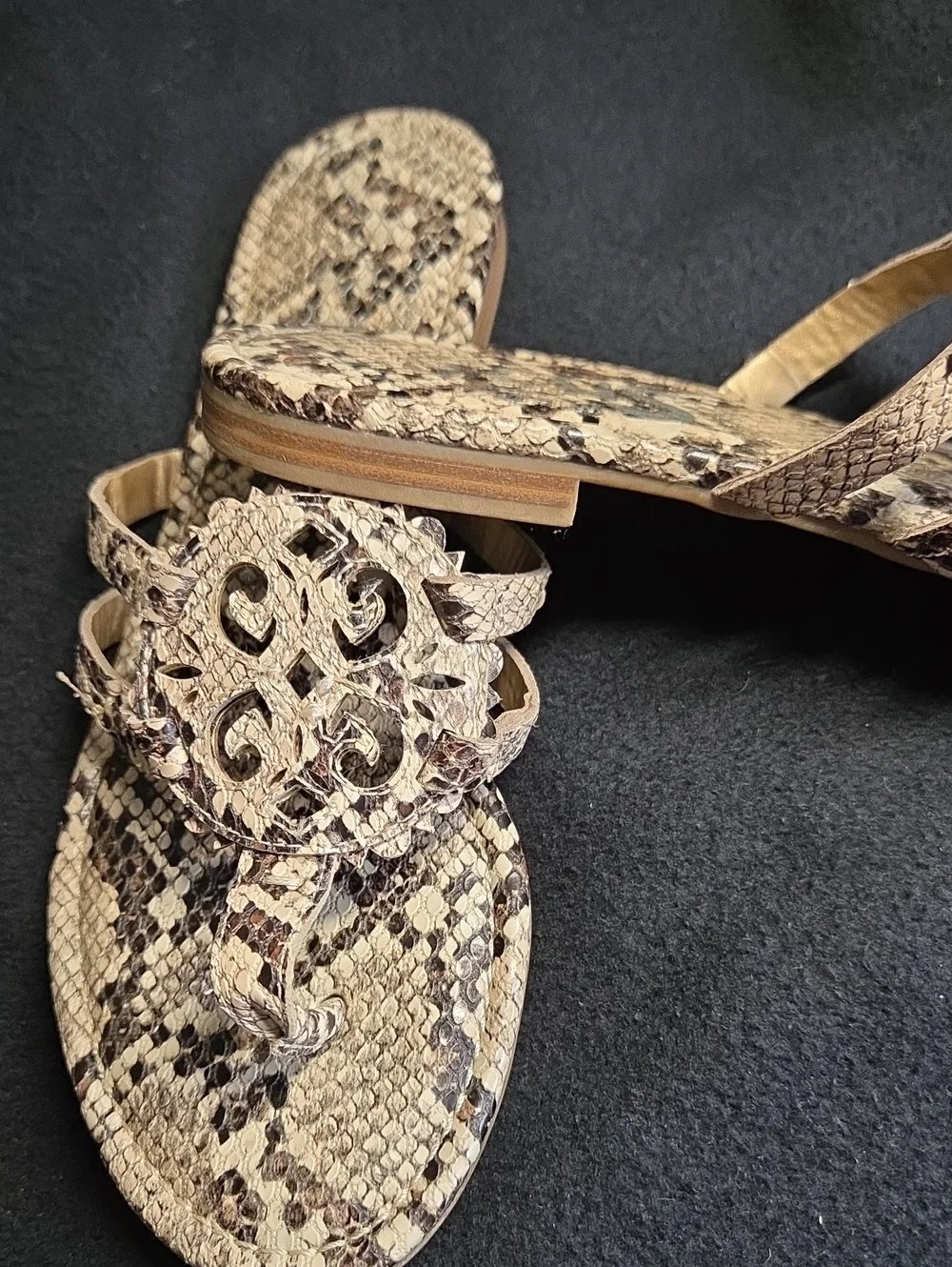 Sam Edelman CIRCUS Sandals Sz 7